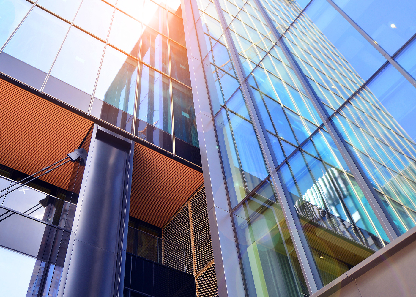 Bitcoin vs. Altcoins:A 5-Step Guide